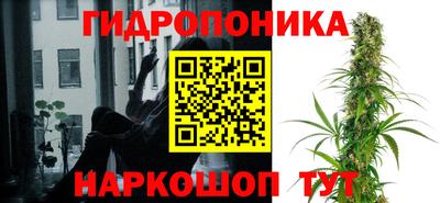 мяу мяу мука Балахна