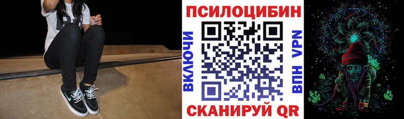 купить  сайты  Большой Камень  Галлюциногенные грибы Psilocybe 