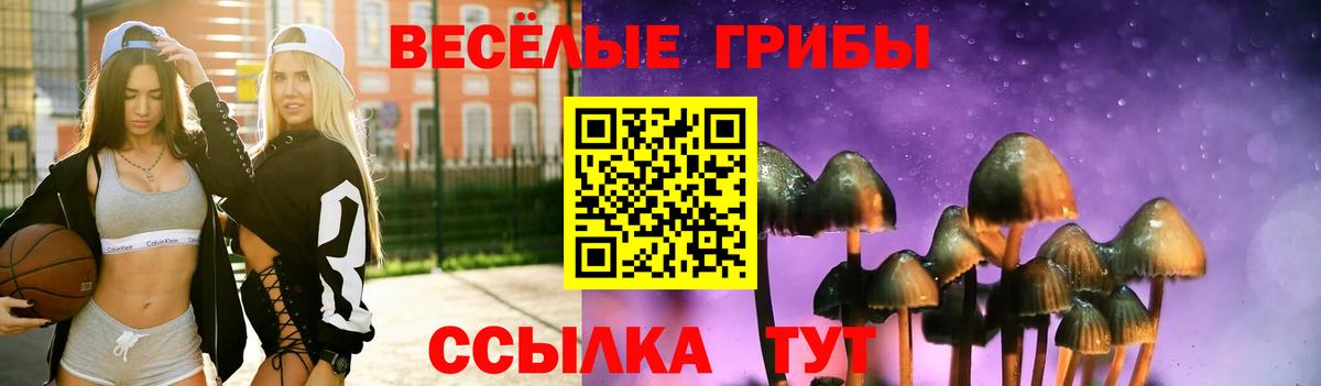 Псилоцибиновые грибы прущие грибы  Вход с VPN  Большой Камень  Галлюциногенные грибы Psilocybine cubensis 